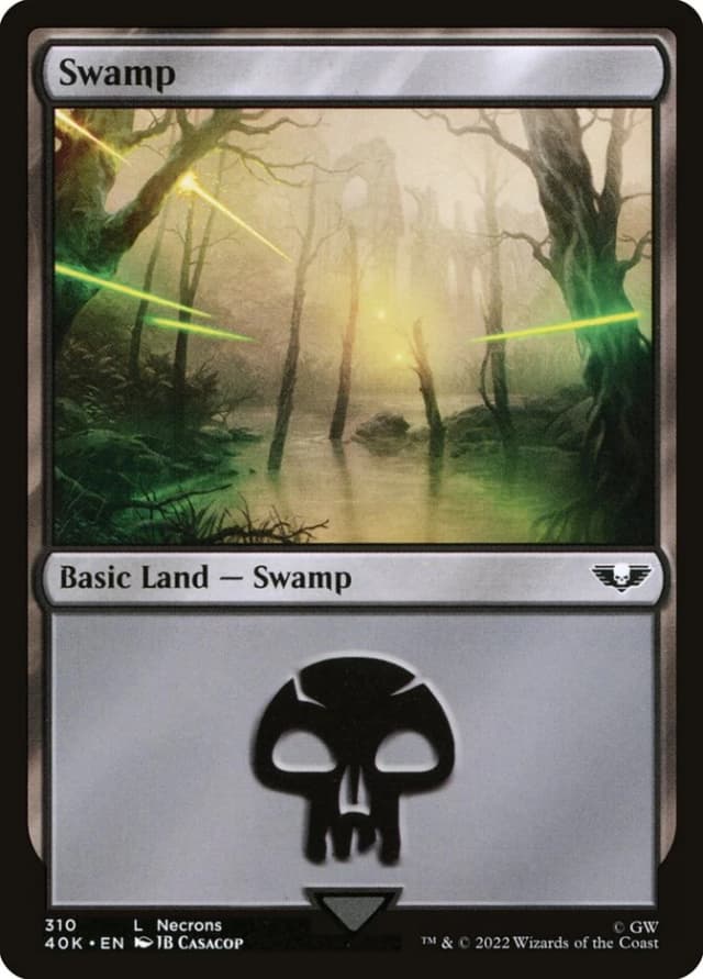 Swamp image