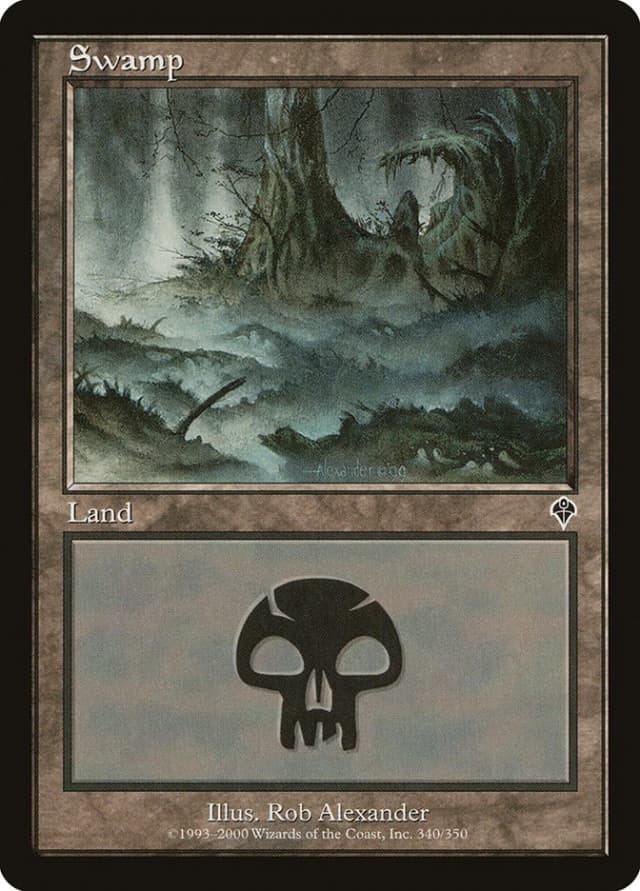 Swamp image