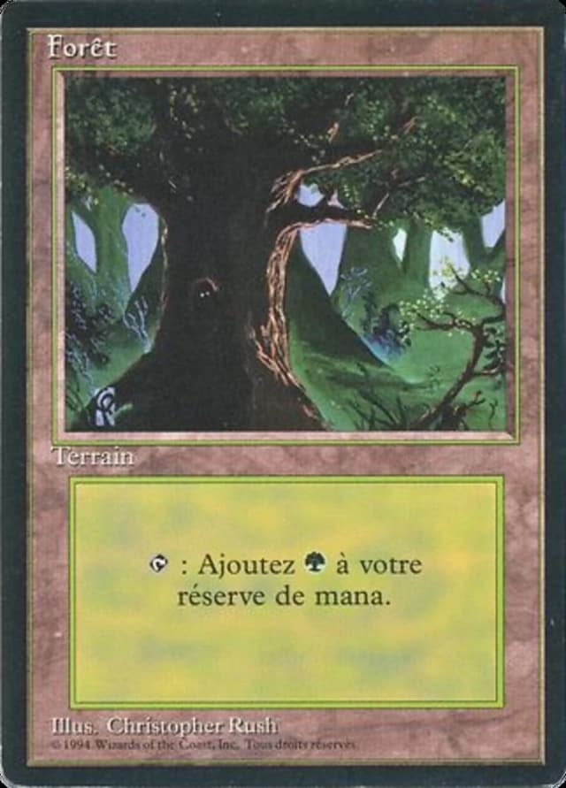 Forest image