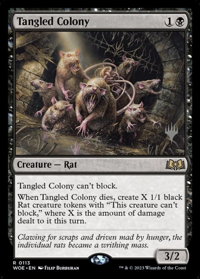 Tangled Colony image