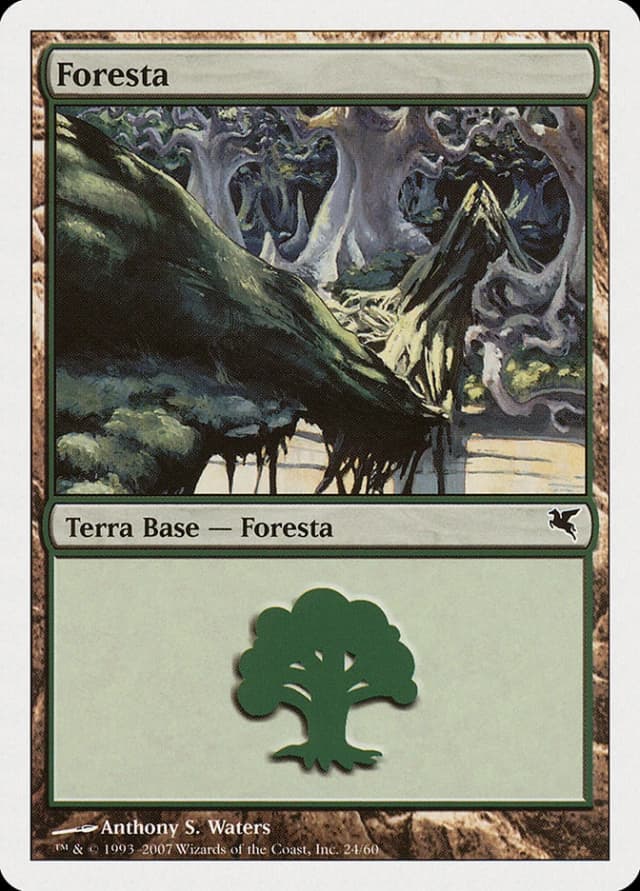 Forest image