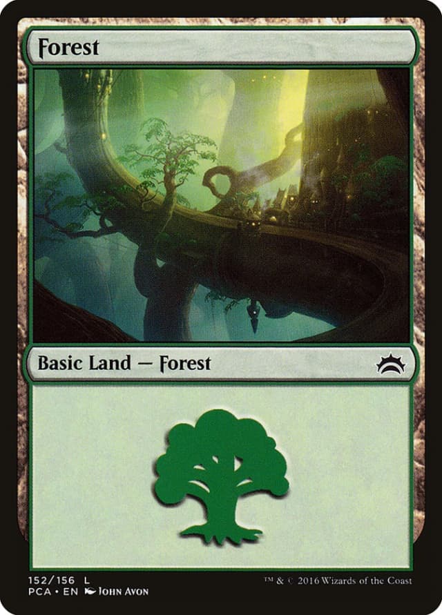 Forest image