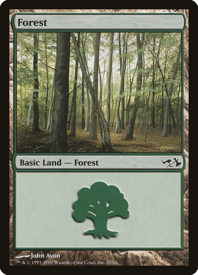 Forest image