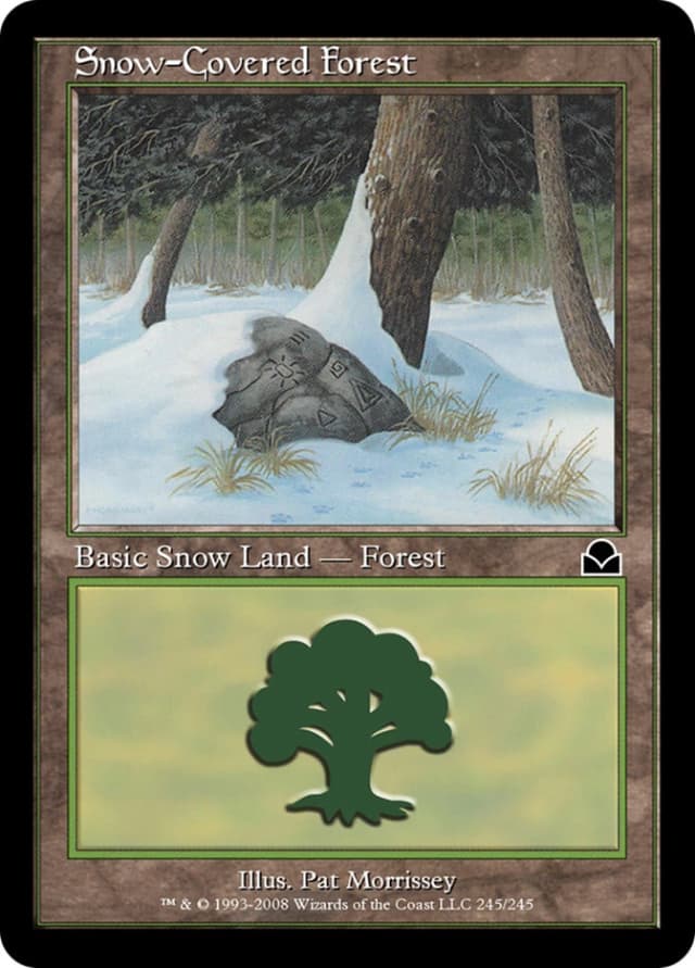 Snow-Covered Forest image