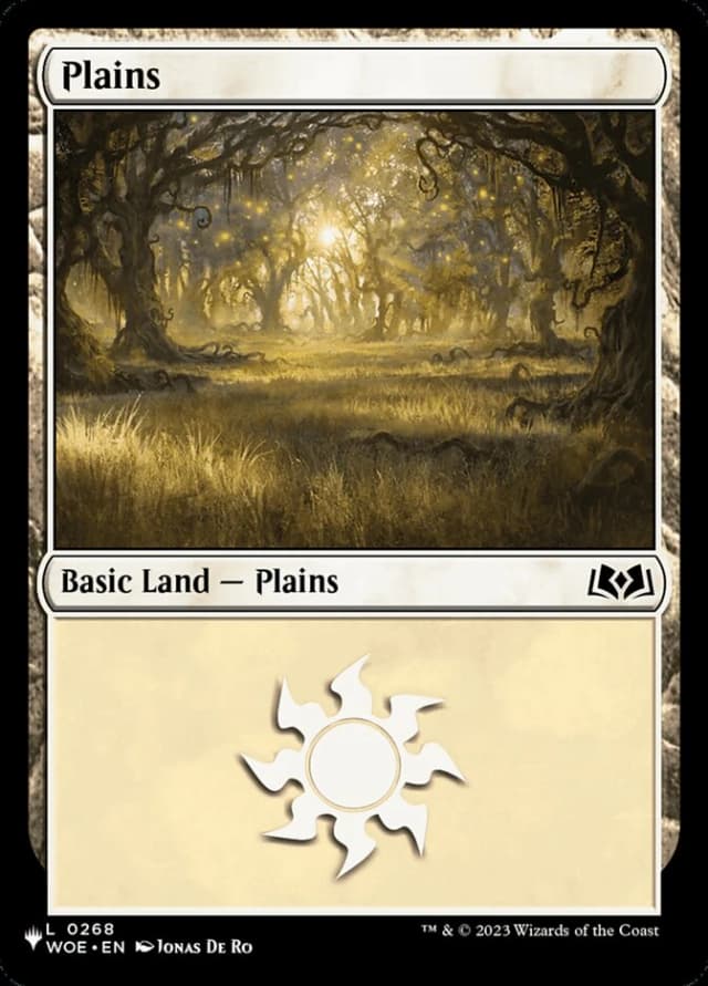 Plains image