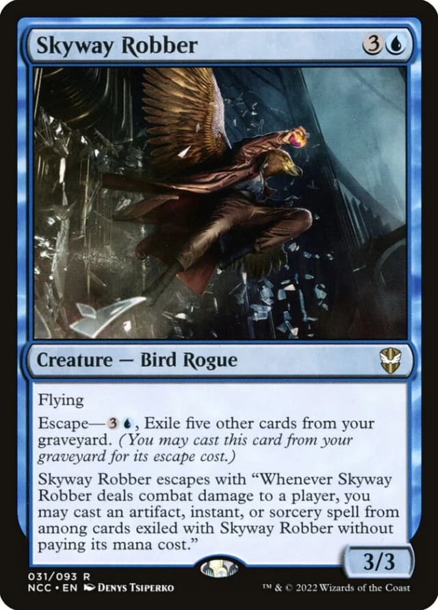 Skyway Robber image