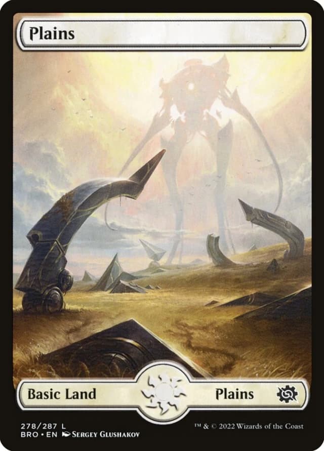 Plains image