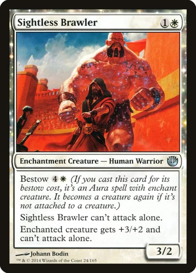Sightless Brawler image