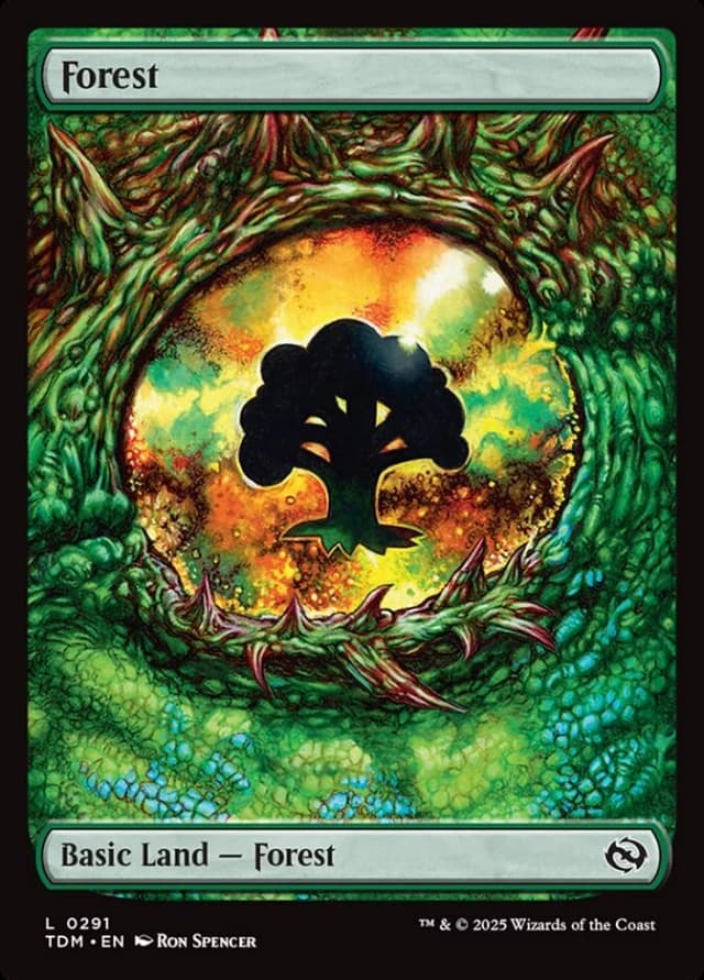 Forest image
