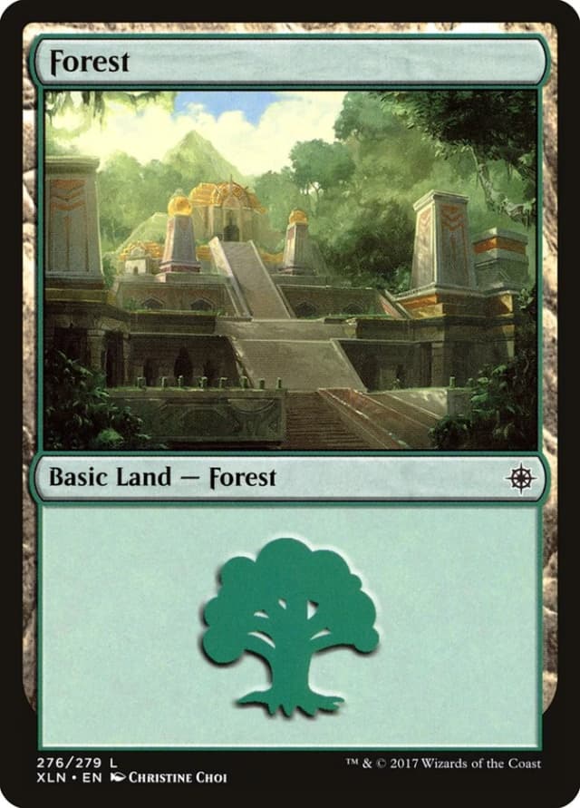 Forest image