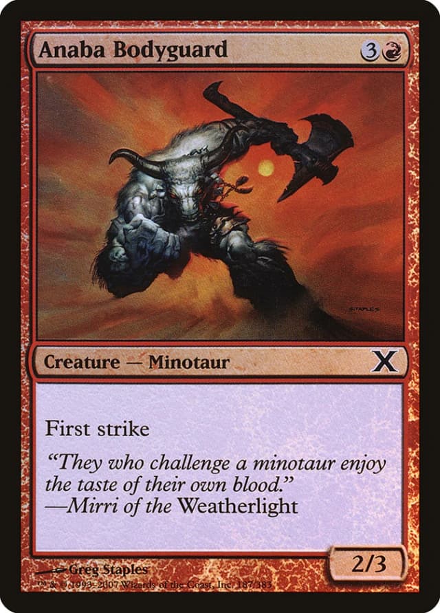 Anaba Bodyguard image
