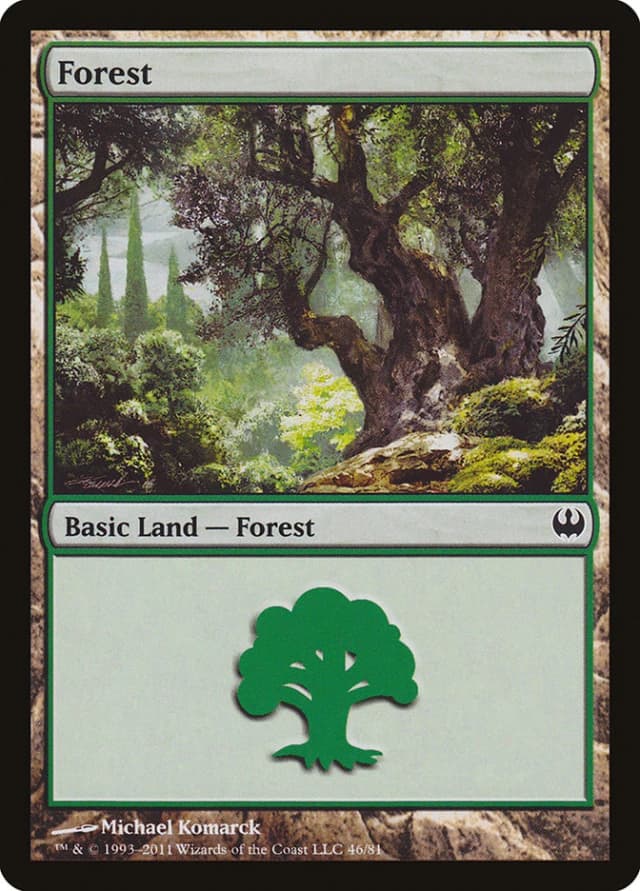 Forest image