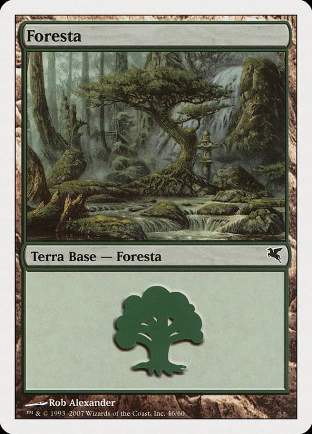 Forest image