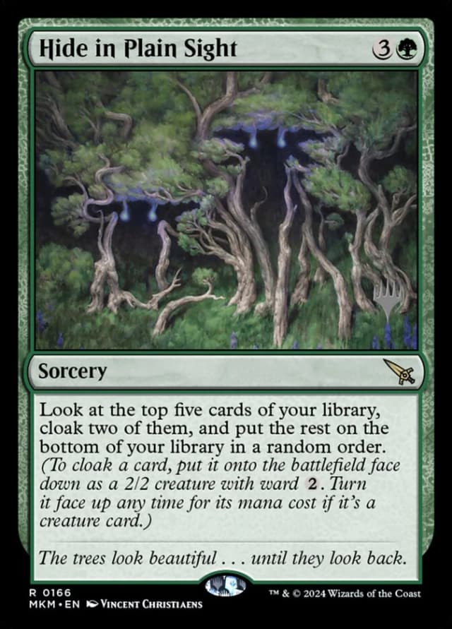Hide in Plain Sight image