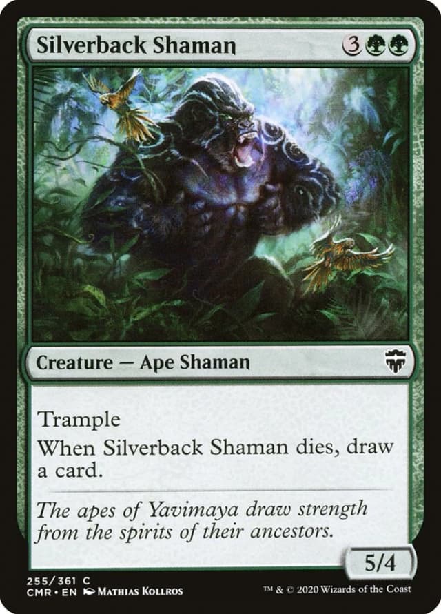 Silverback Shaman image