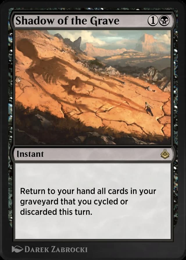 Shadow of the Grave image