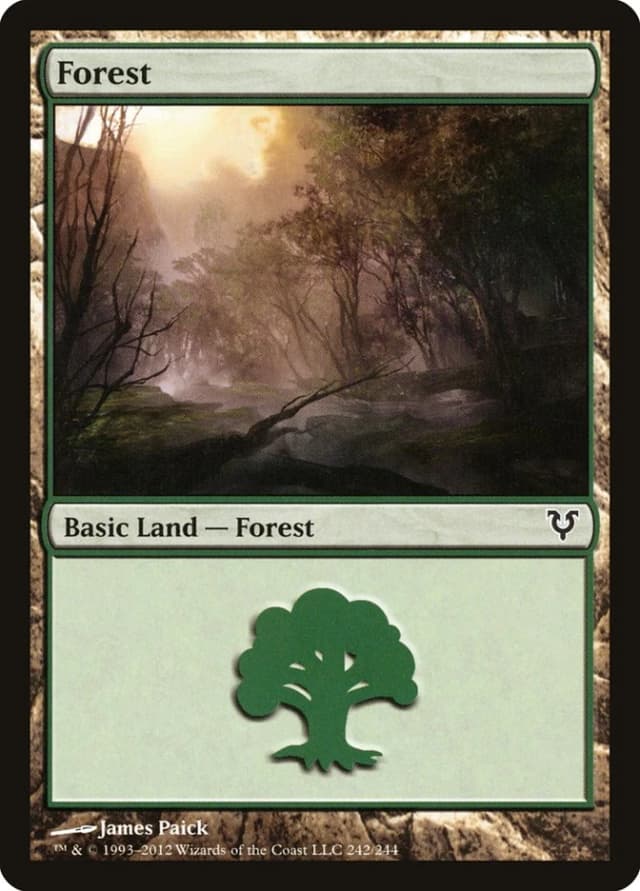 Forest image