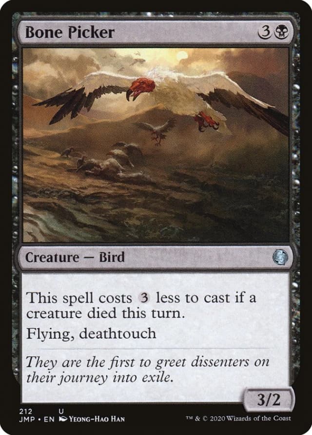 Bone Picker image