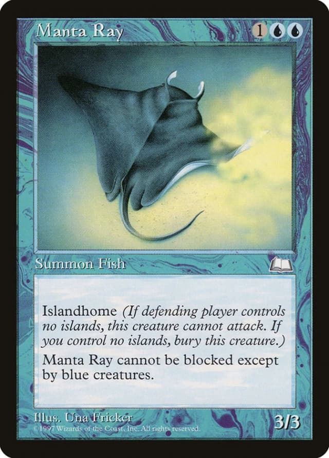Manta Ray image