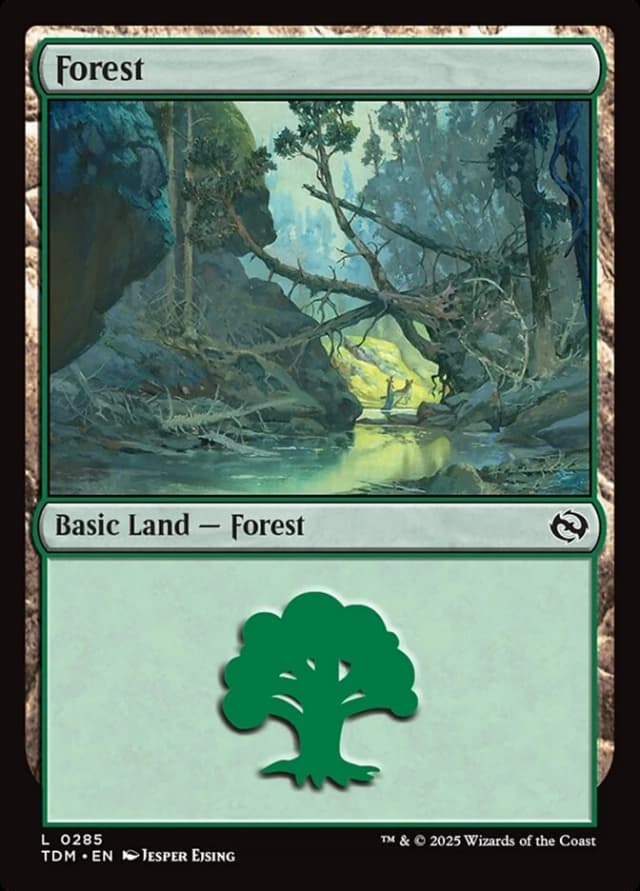 Forest image