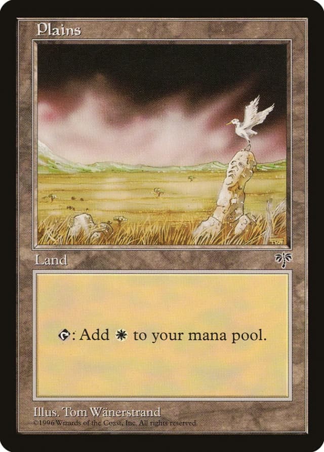 Plains image