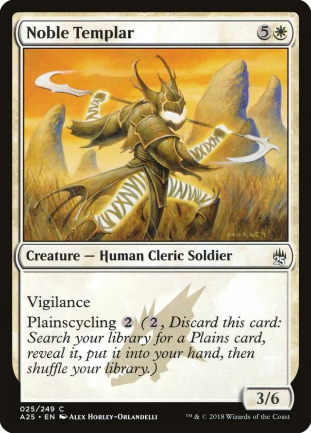 Noble Templar image