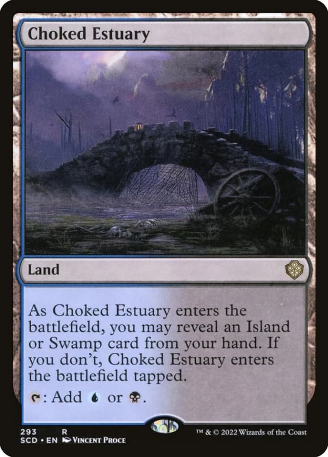Choked Estuary image