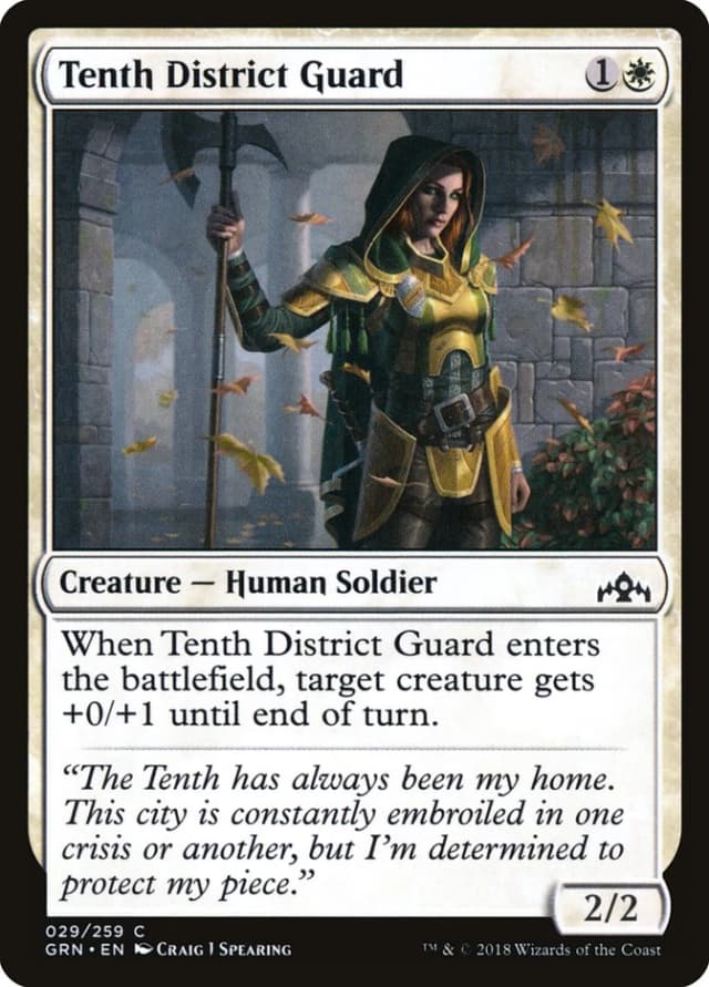 Tenth District Guard image