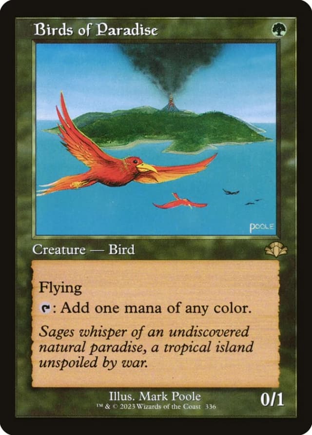 Birds of Paradise image