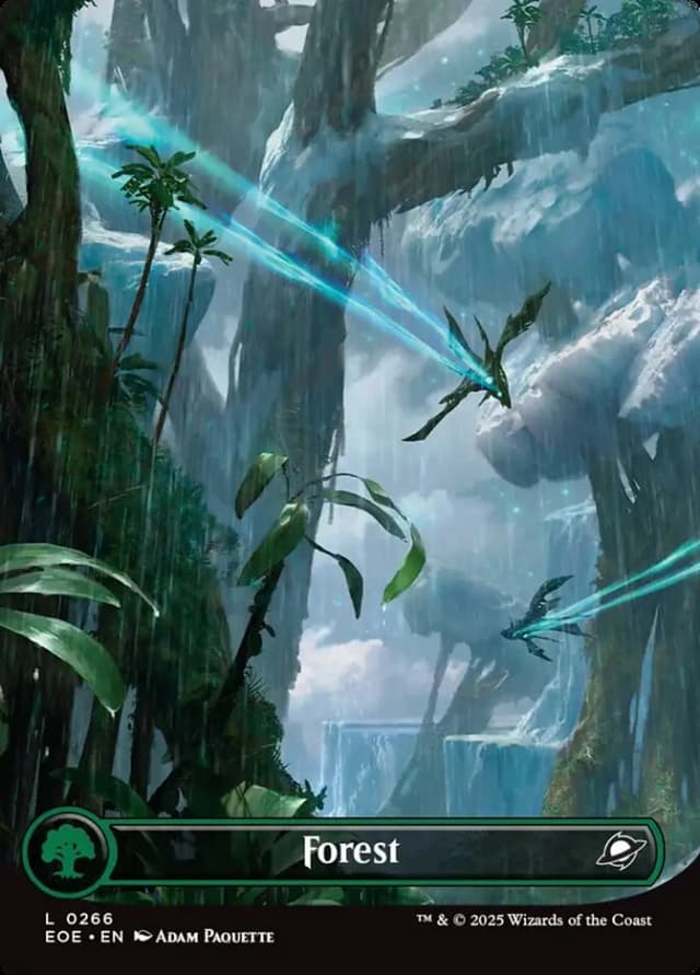 Forest image