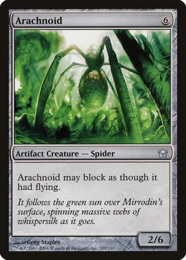 Arachnoid image