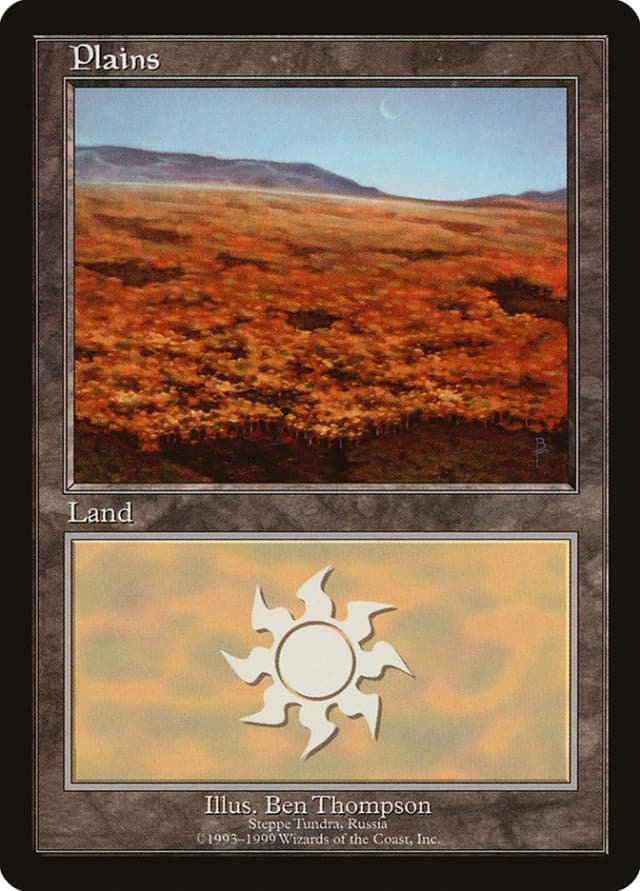 Plains image