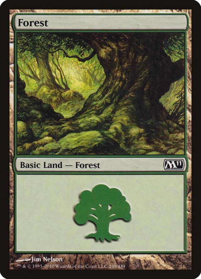 Forest image