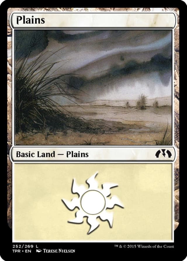 Plains image