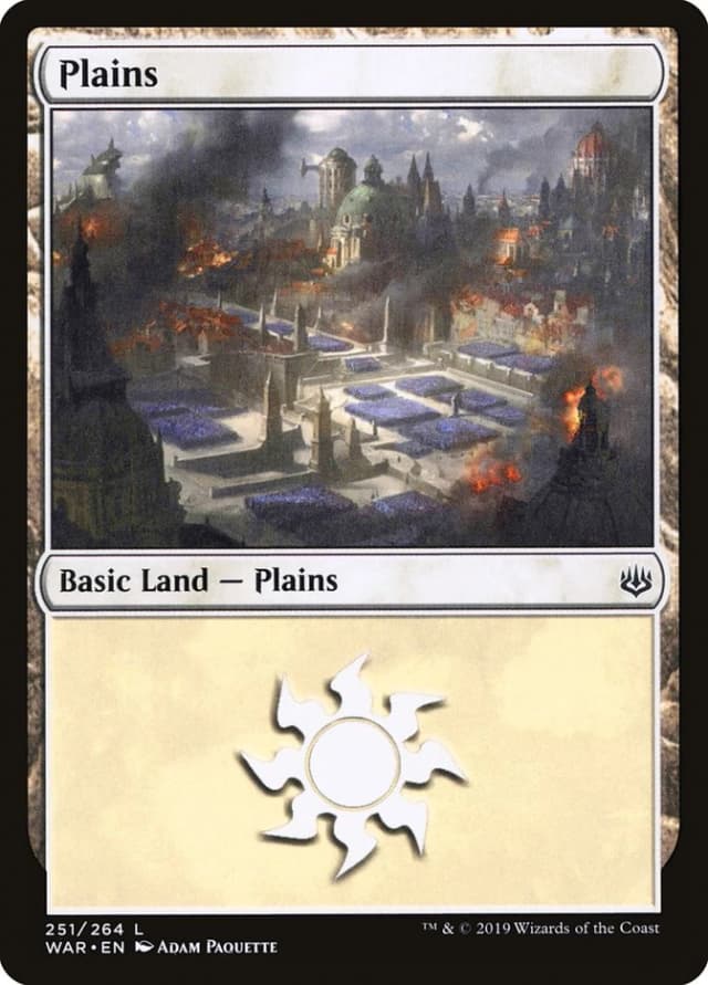 Plains image