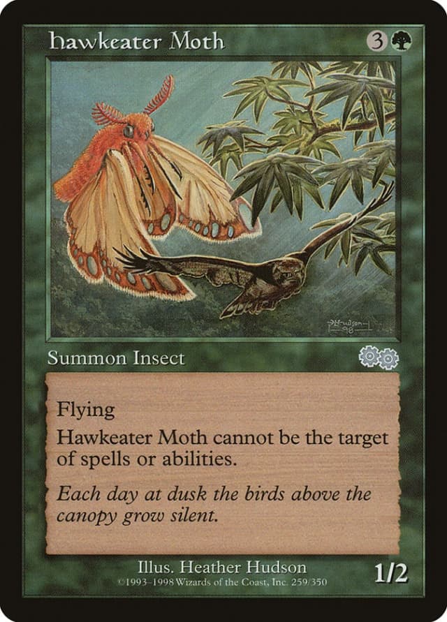 Hawkeater Moth image