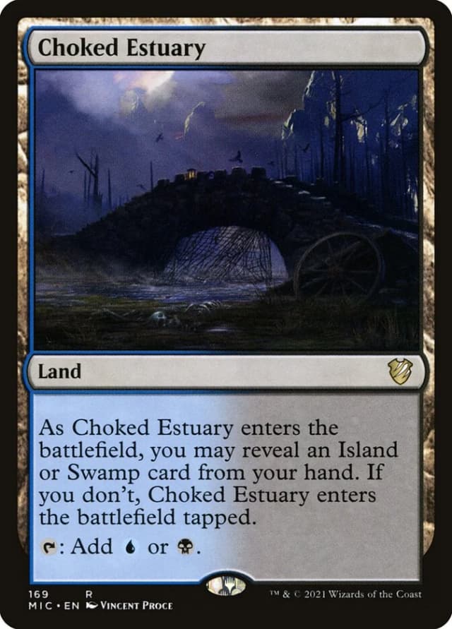 Choked Estuary image