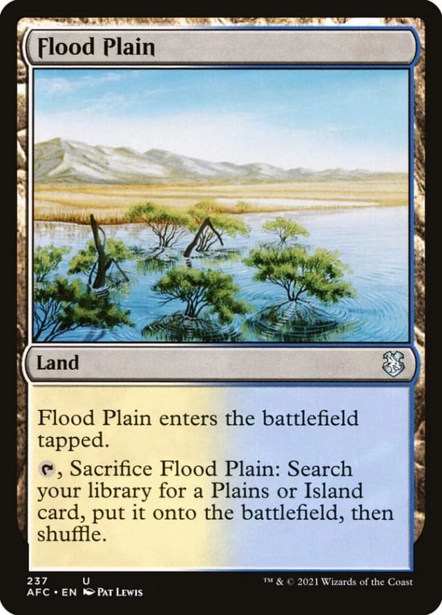 Flood Plain image