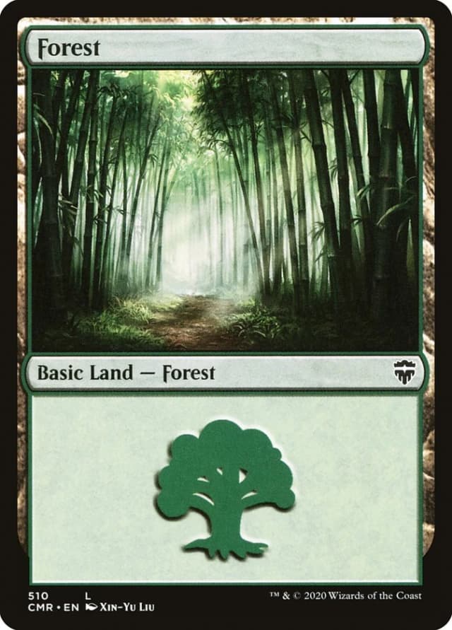 Forest image