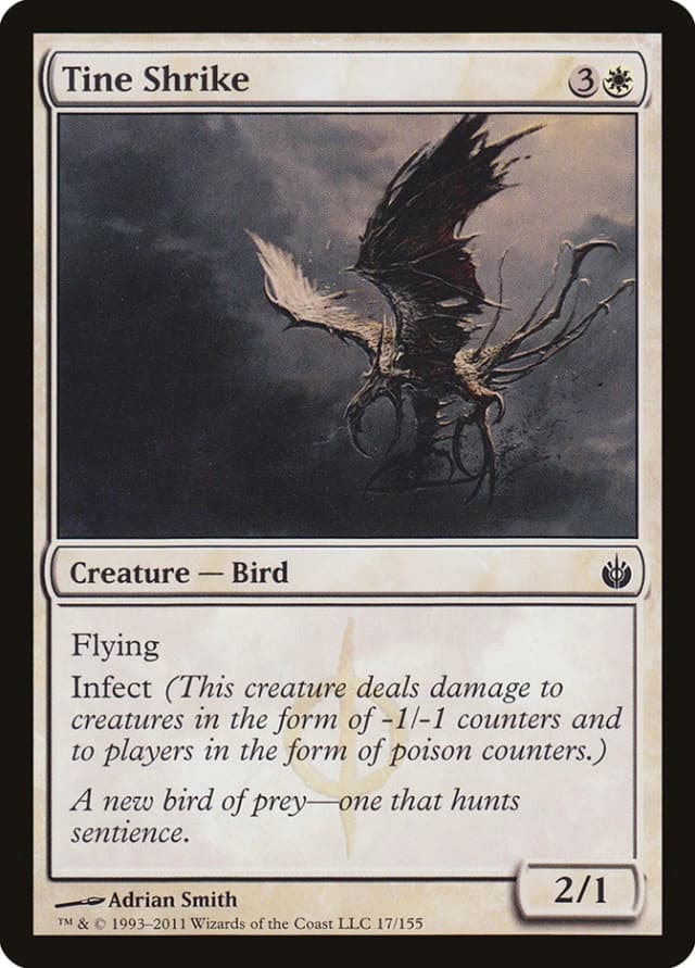 Tine Shrike image