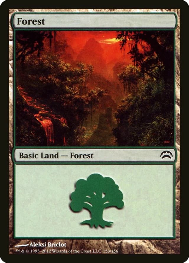 Forest image