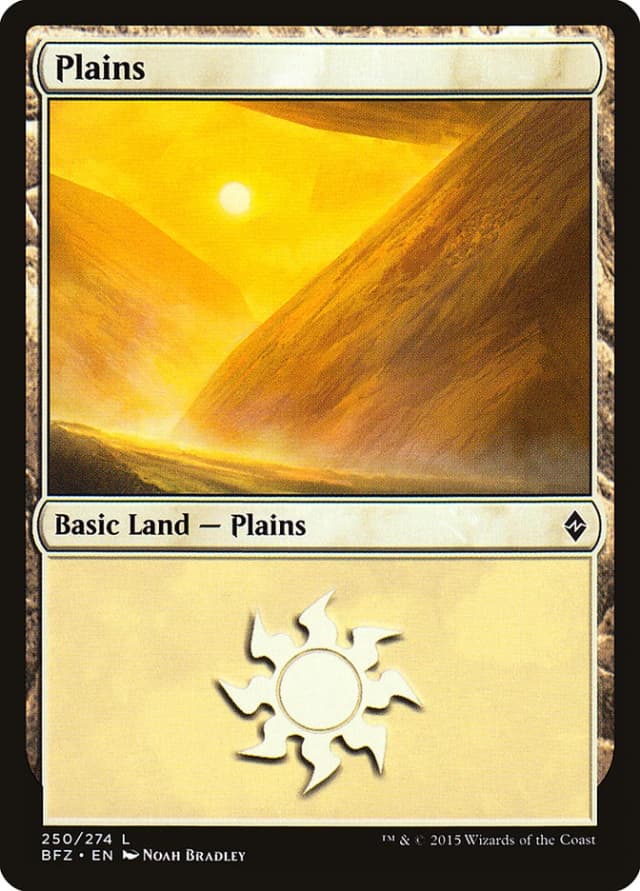 Plains image