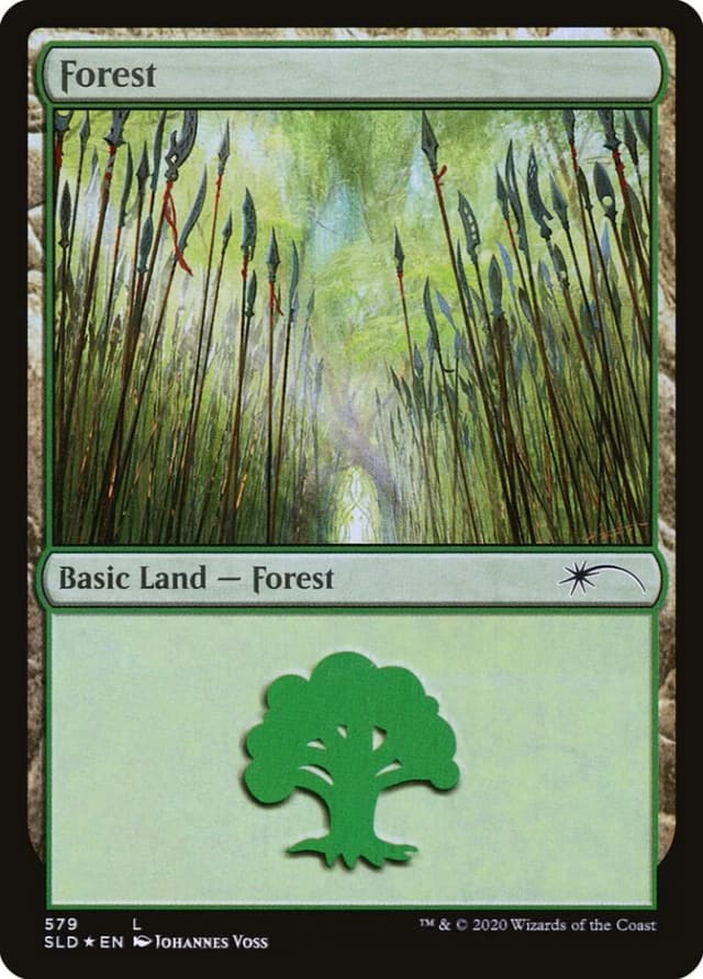 Forest image