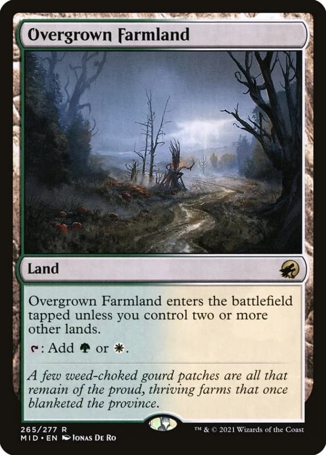 Overgrown Farmland image