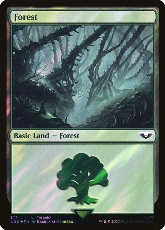 Forest image