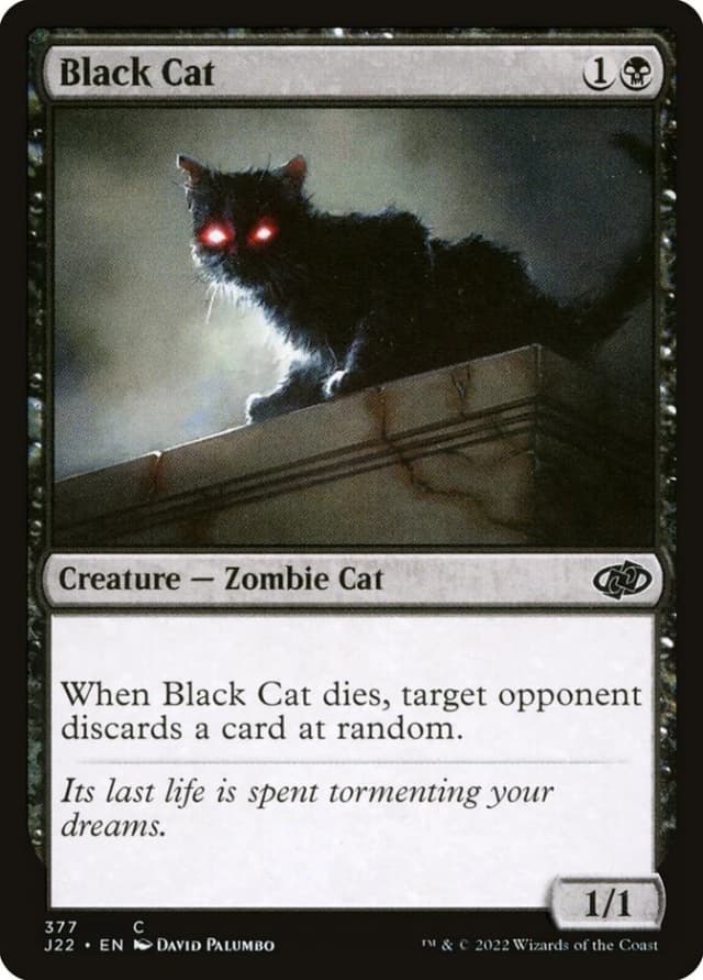 Black Cat image