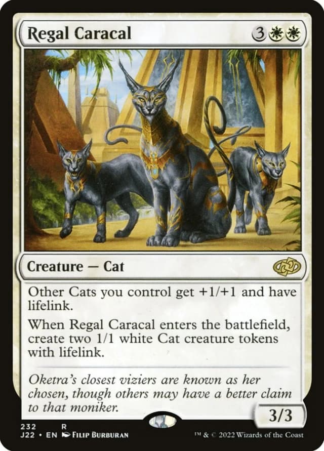 Regal Caracal image