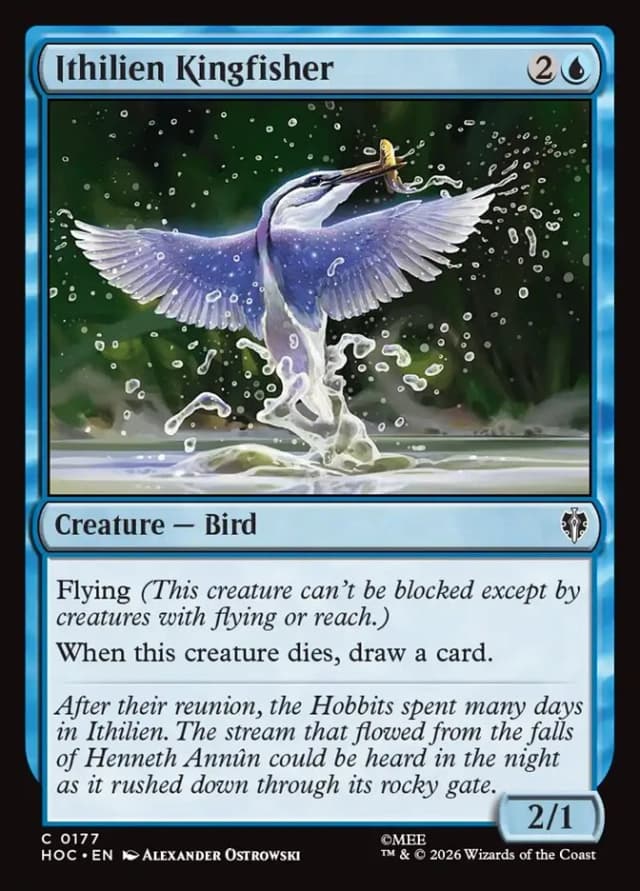 Ithilien Kingfisher image