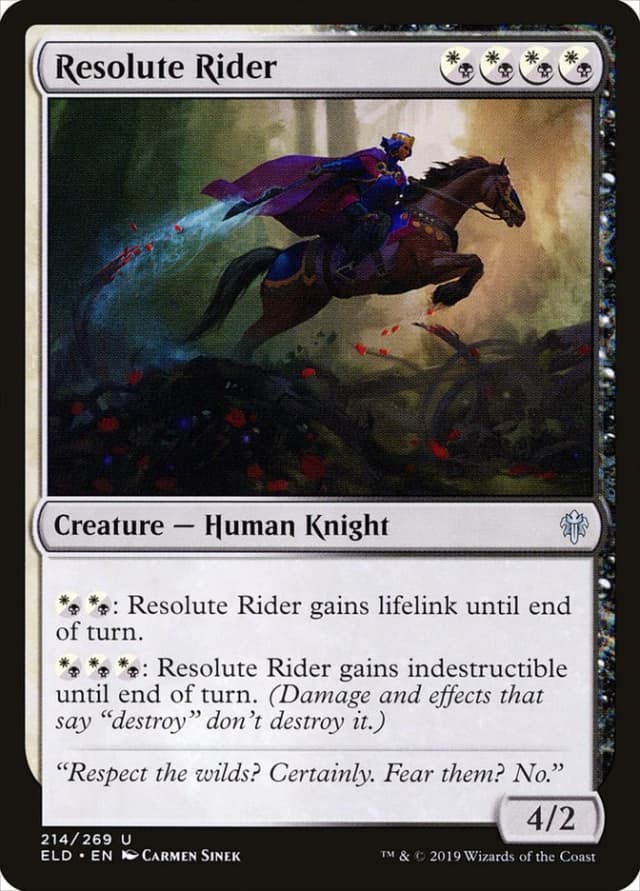 Resolute Rider image