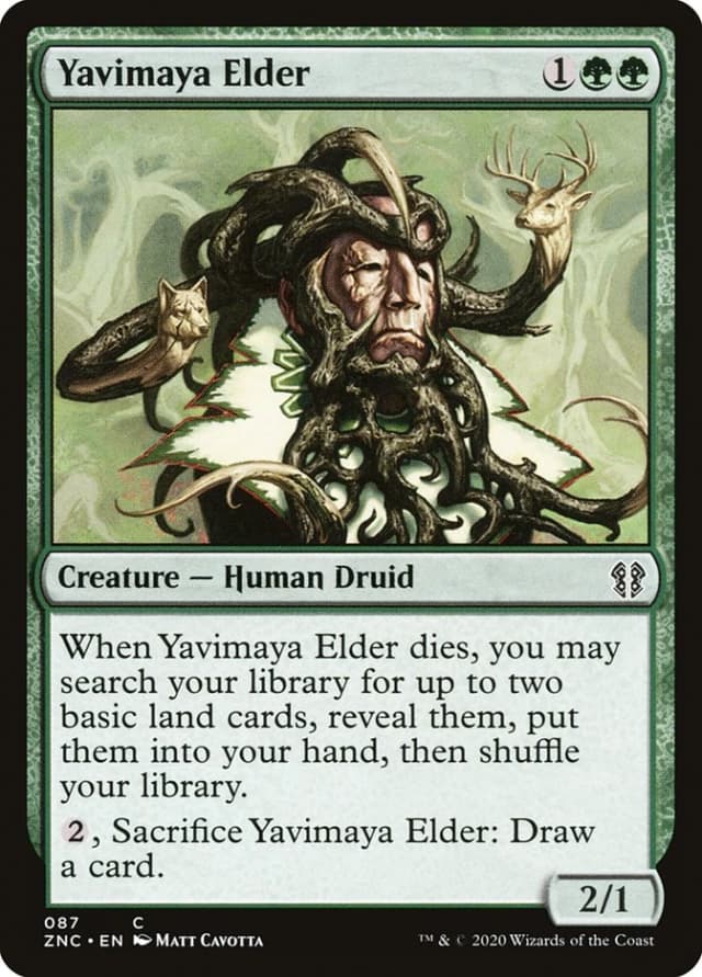 Yavimaya Elder image